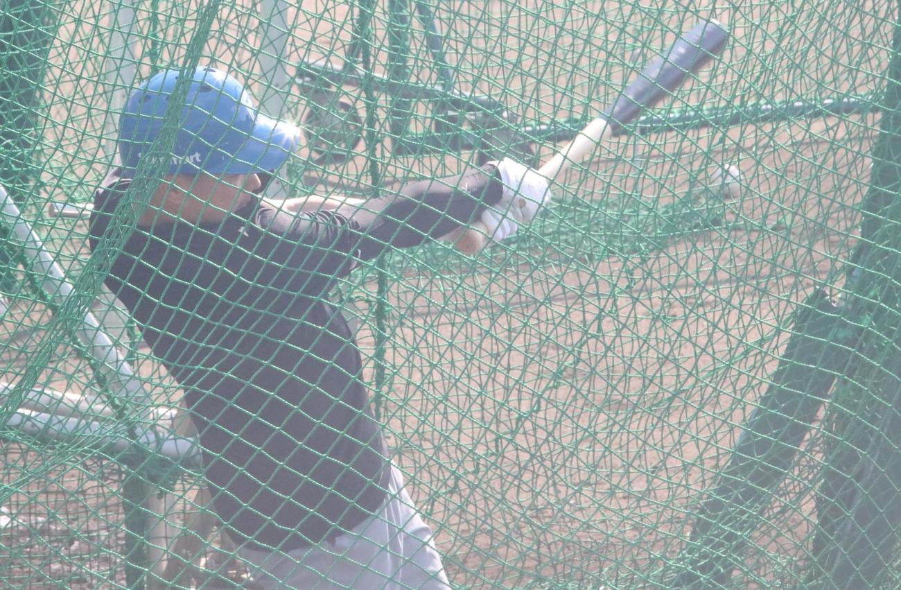 打撃練習に励む日本ハム山県（撮影・永野高輔）
