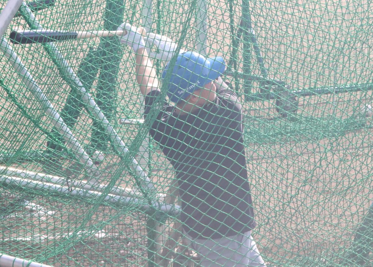 打撃練習に励む日本ハム山県（撮影・永野高輔）