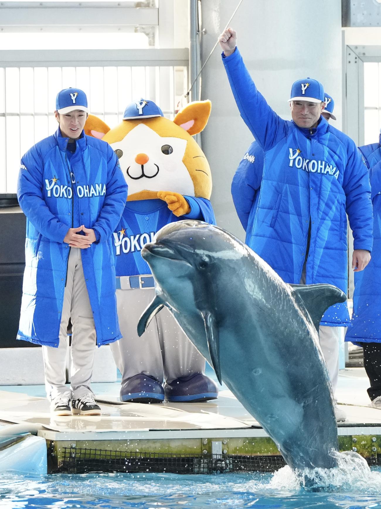 「DeNA2026初春の集い」でバンドウイルカによるパフォーマンスを見つめる相川監督（右）と度会（撮影・江口和貴）