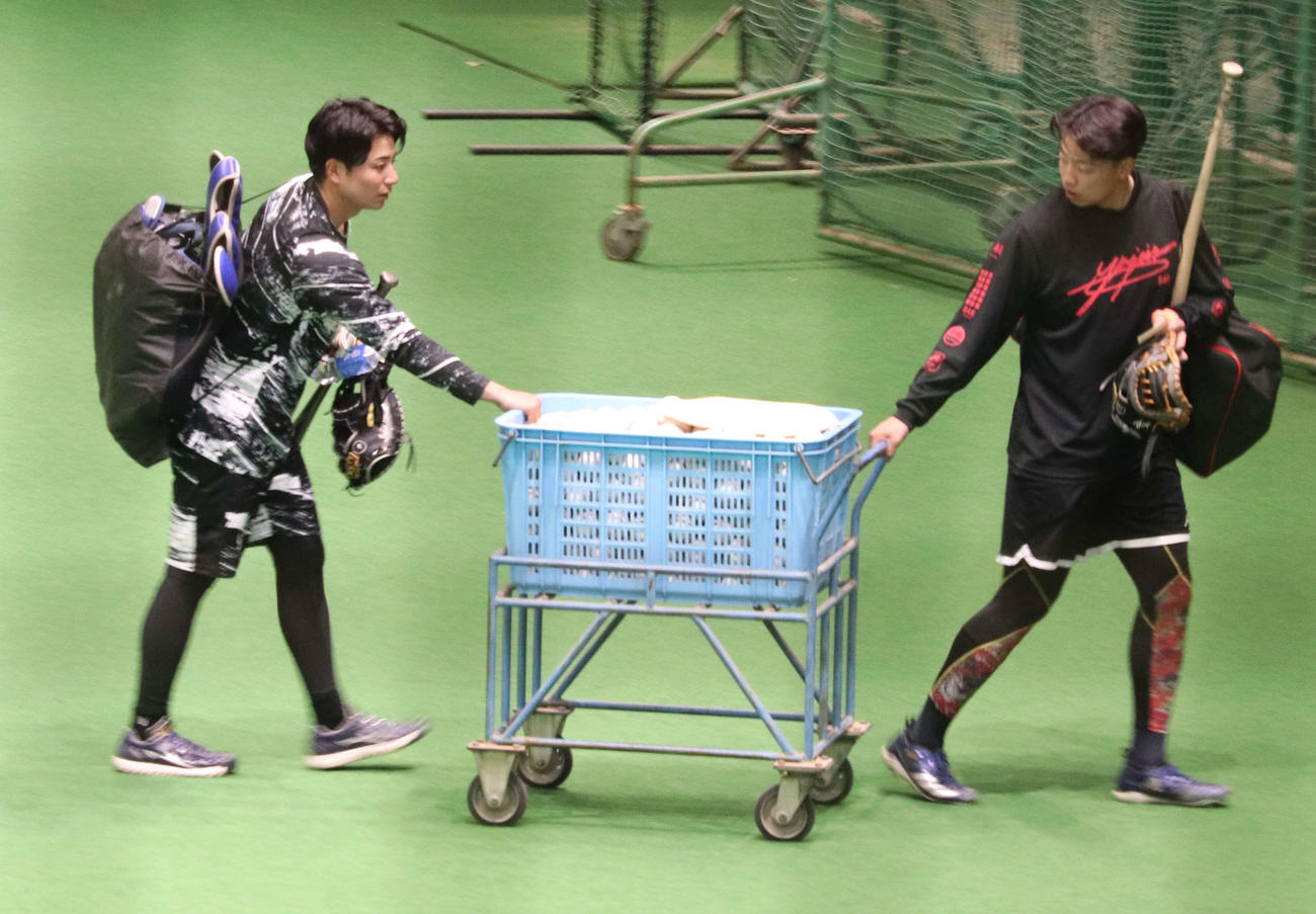 ナゴヤ球場で自主トレを行い一緒にボールを片付ける中日石伊（左）と味谷