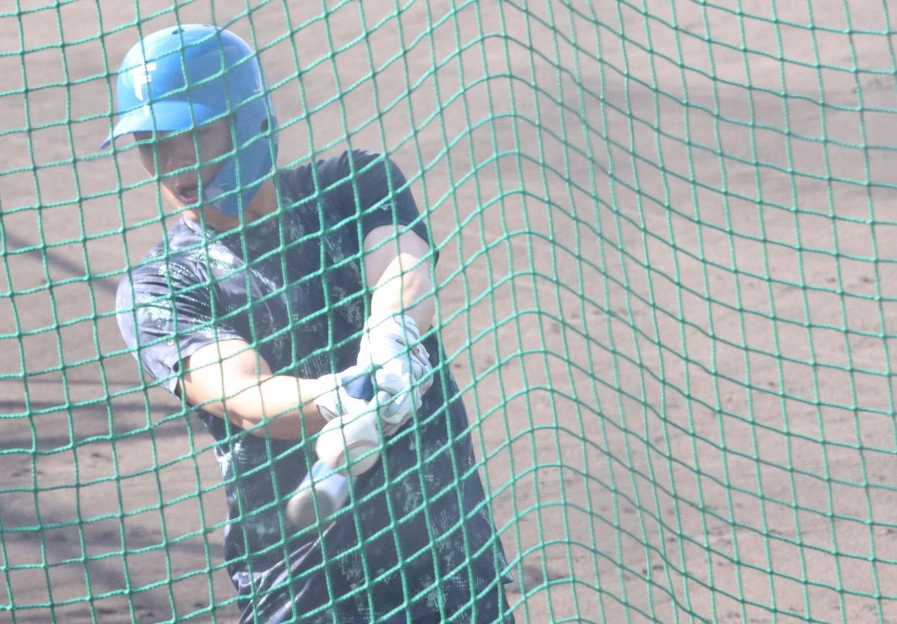ティー打撃に励む日本ハム郡司（撮影・永野高輔）