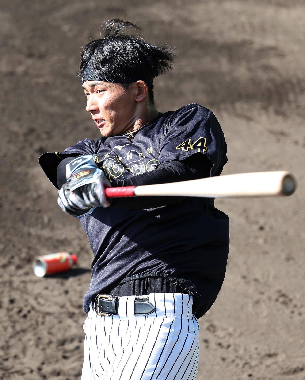 打撃練習を行う阪神戸井（2025年11月撮影）