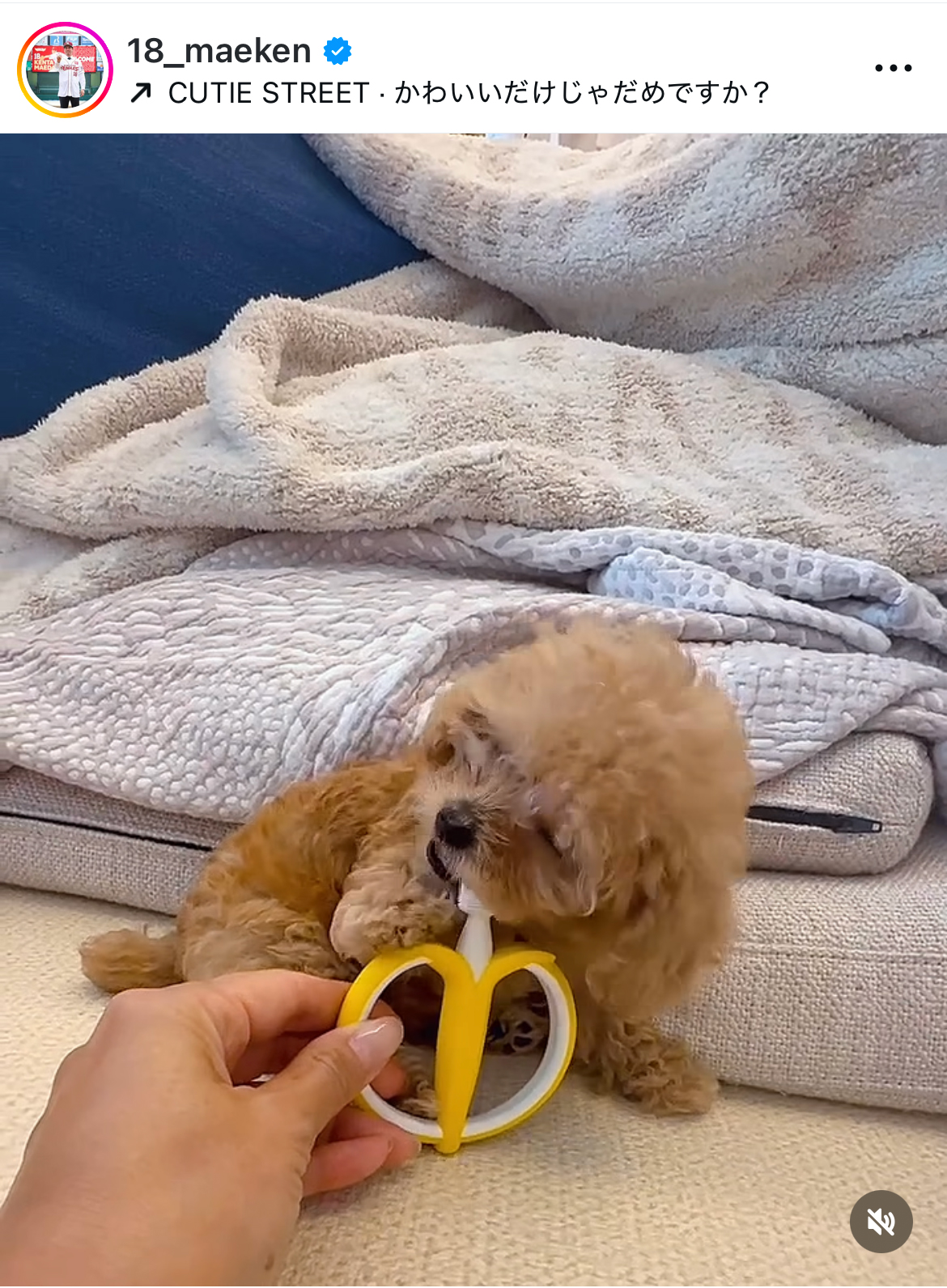 前田健太のインスタグラムから