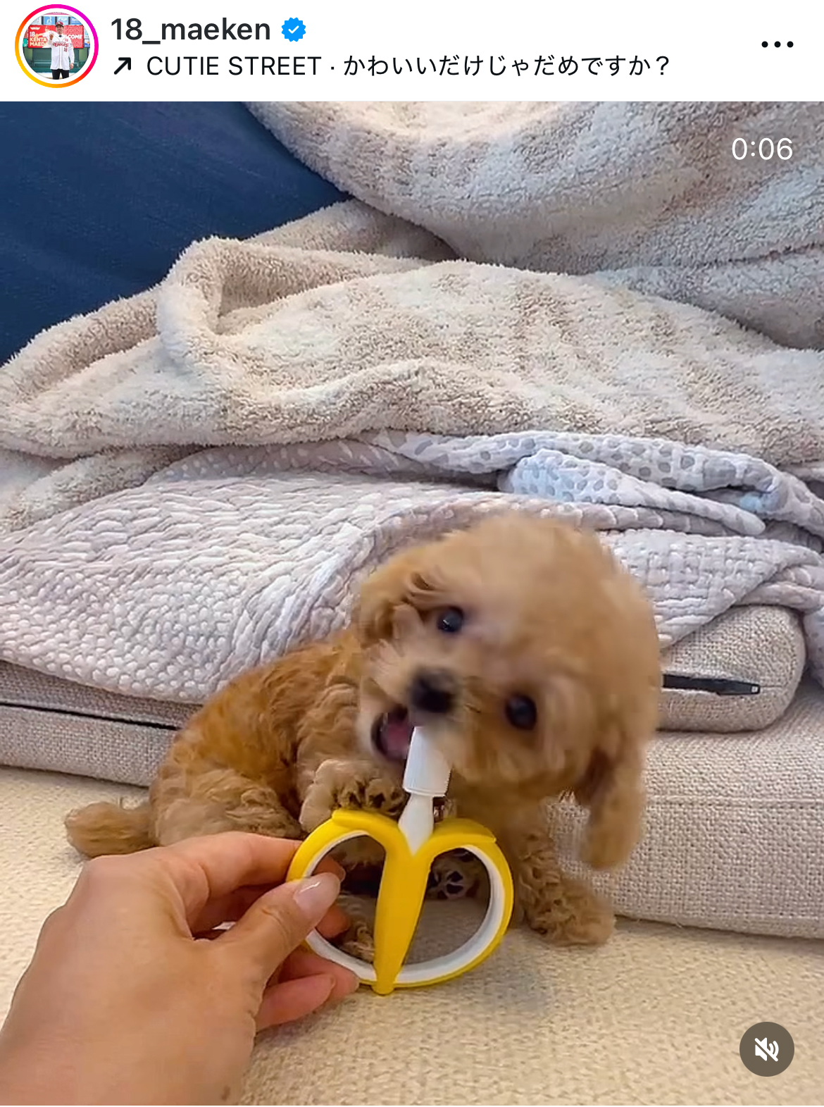 前田健太のインスタグラムから