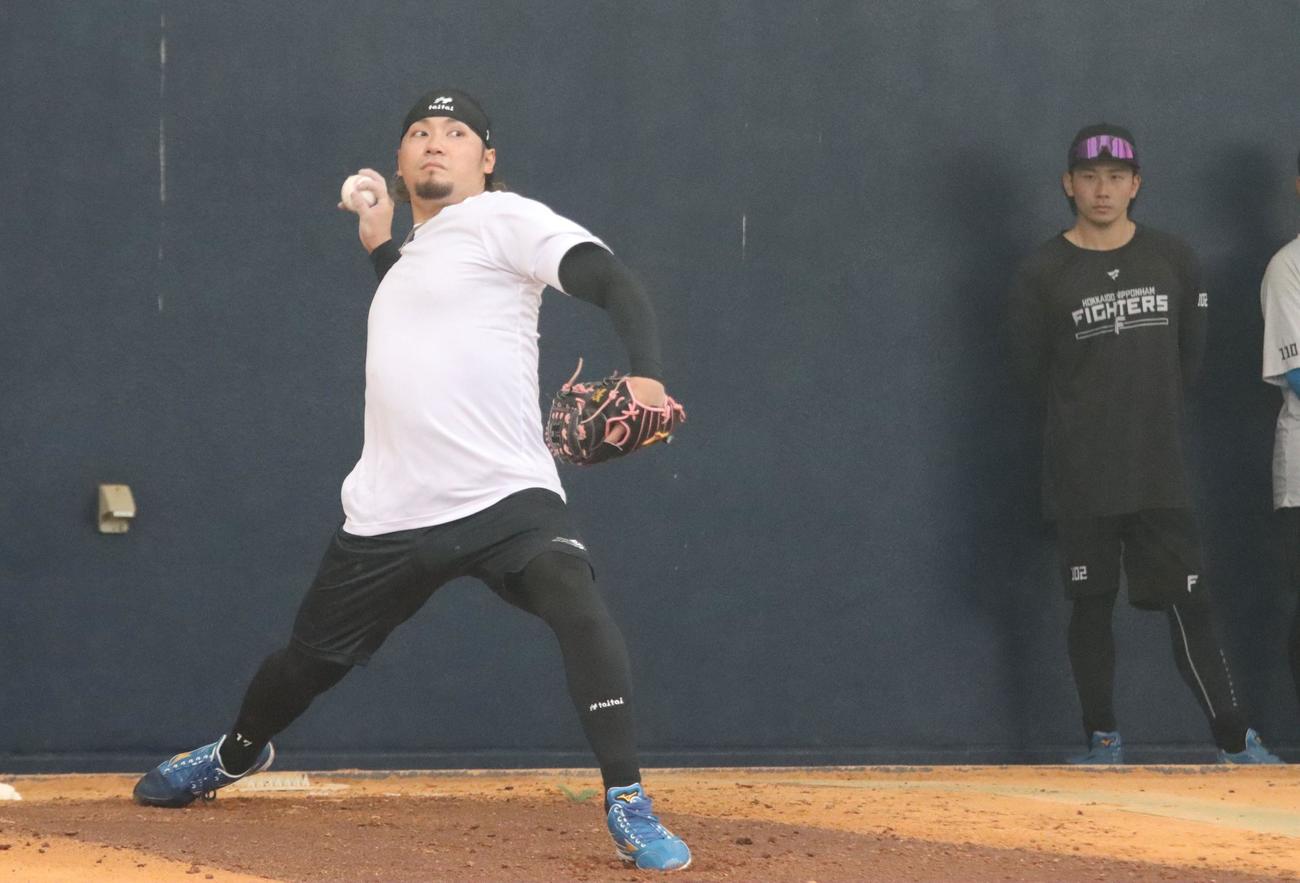 名護でブルペン投球する日本ハム伊藤（撮影・永野高輔）