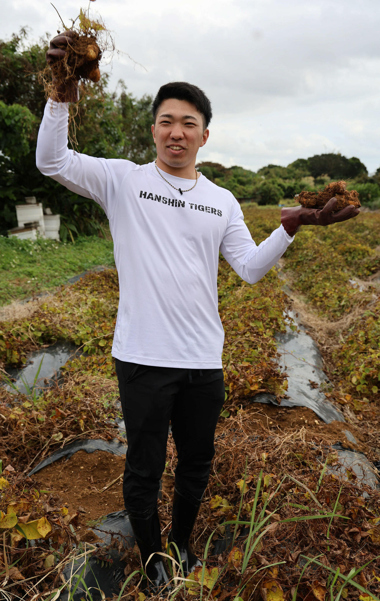 沖縄在来の山芋であるクーガ芋を掘り、笑顔の阪神石井（撮影・西尾就之）