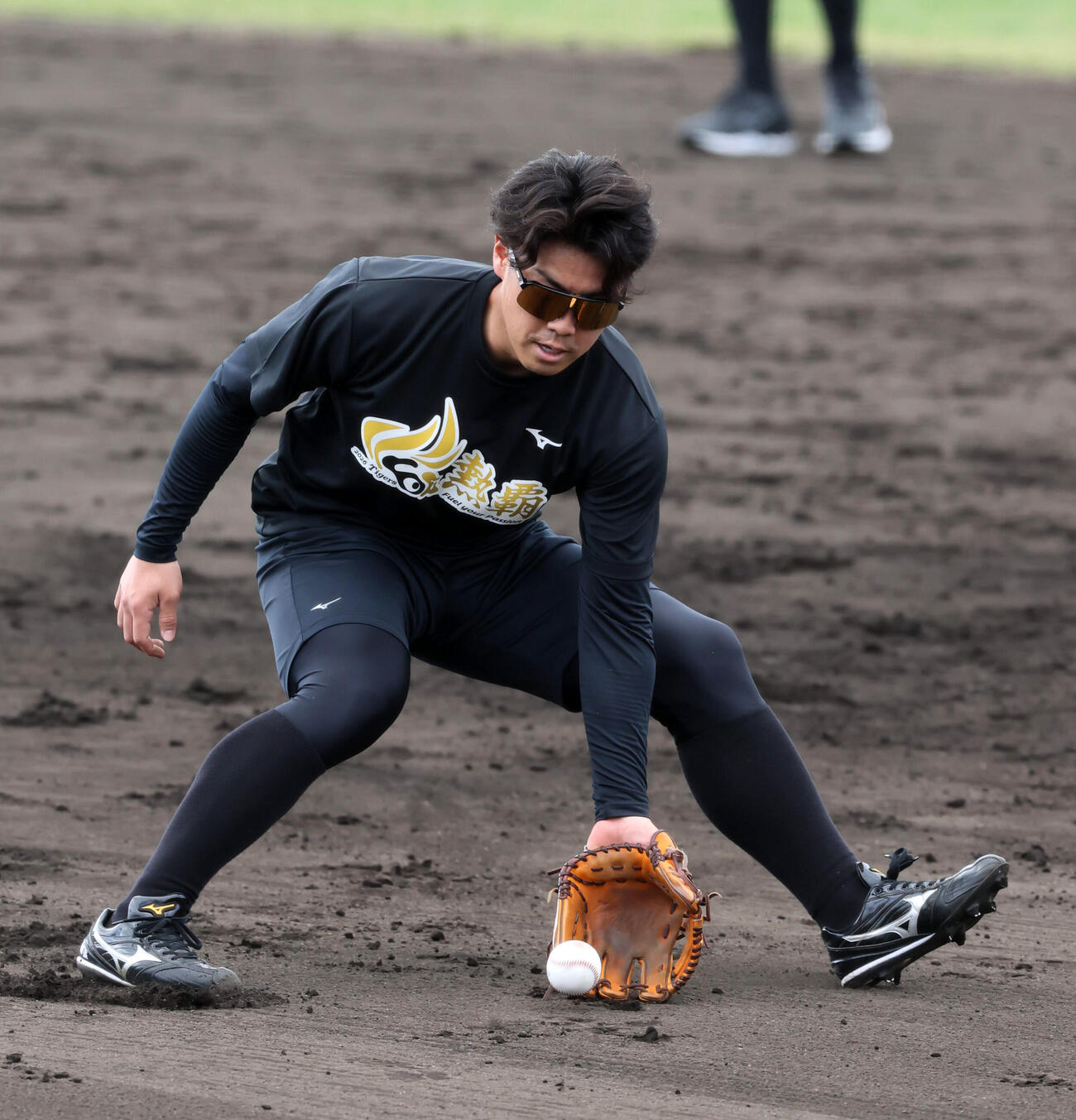 沖縄合同自主トレ初日、内野でノックを受ける阪神谷端（撮影・加藤哉）
