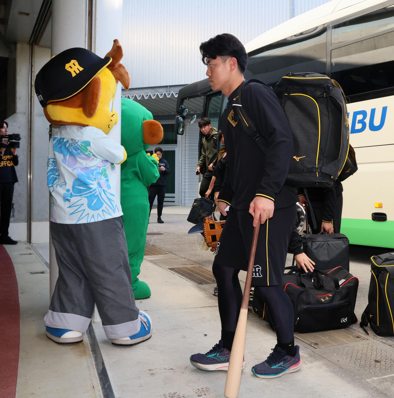 沖縄自主トレ2日目、コラッキー（左）の出迎えを受け球場に到着した阪神谷端（撮影・加藤哉）