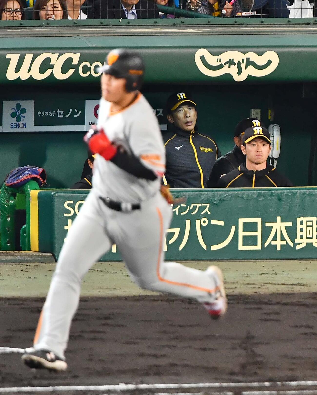 阪神対巨人　5回表巨人無死、岡本に本塁打を浴びベンチであぜんとする矢野監督。右は近本（2019年4月撮影）