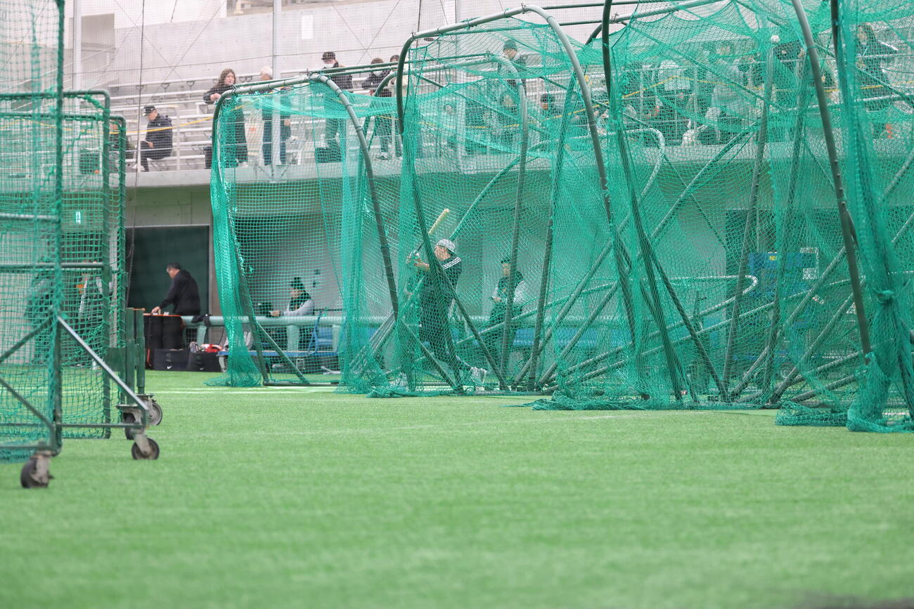 合同自主トレ後、他の選手が帰宅後も打撃練習をする巨人坂本勇（撮影・増田悦実）