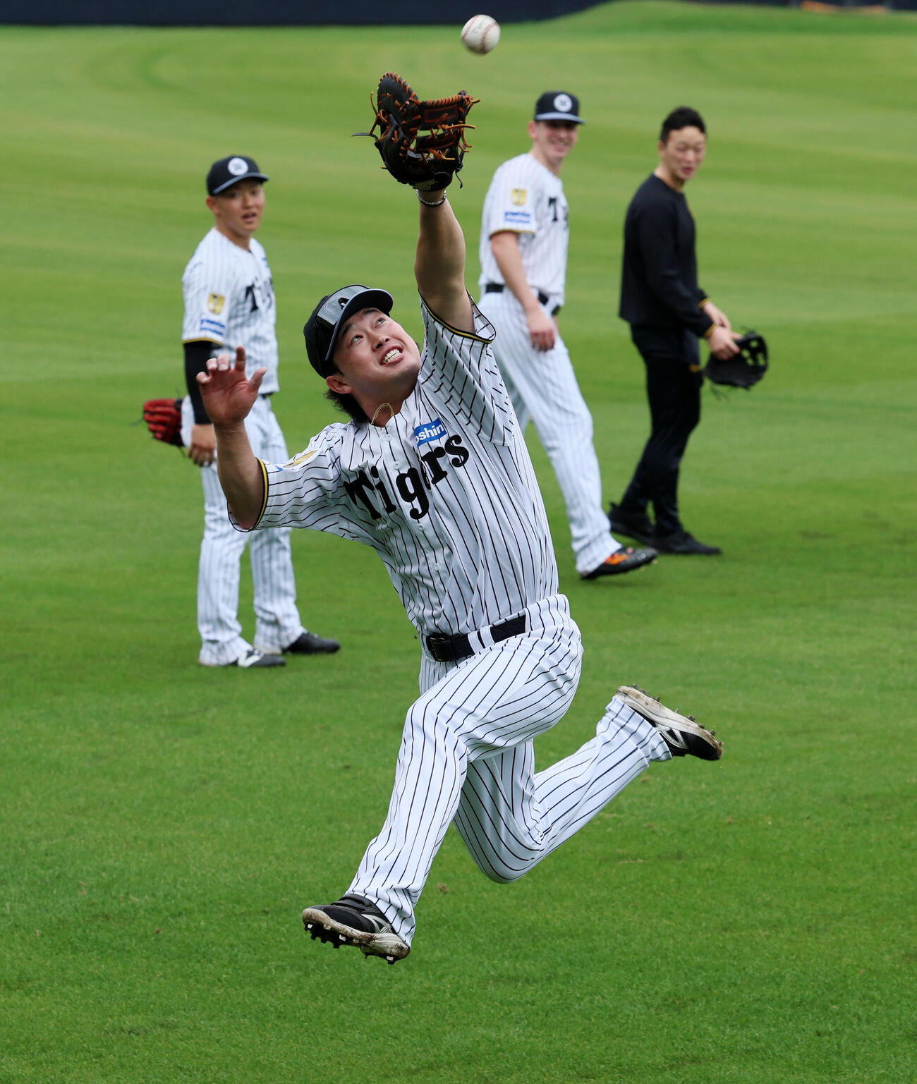 外野でノックを受ける阪神浜田（撮影・加藤哉）