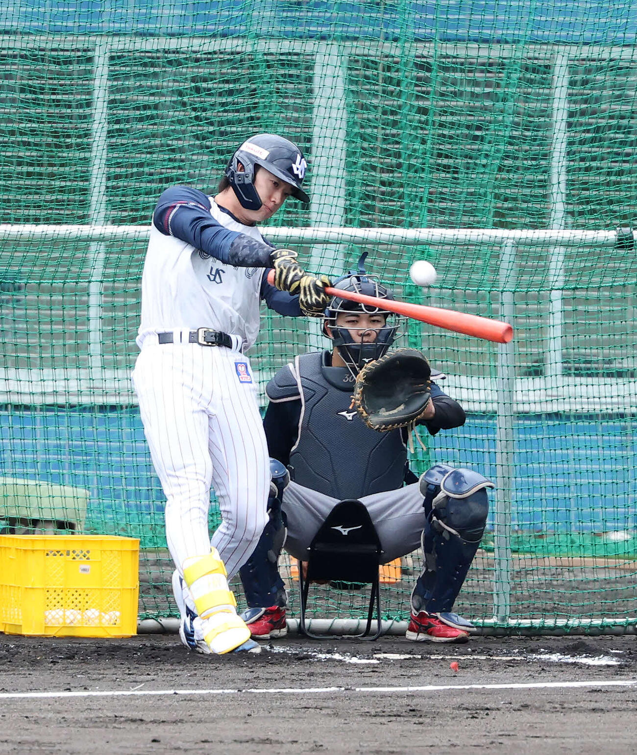 フリー打撃するヤクルト長岡（撮影・鈴木正人）　