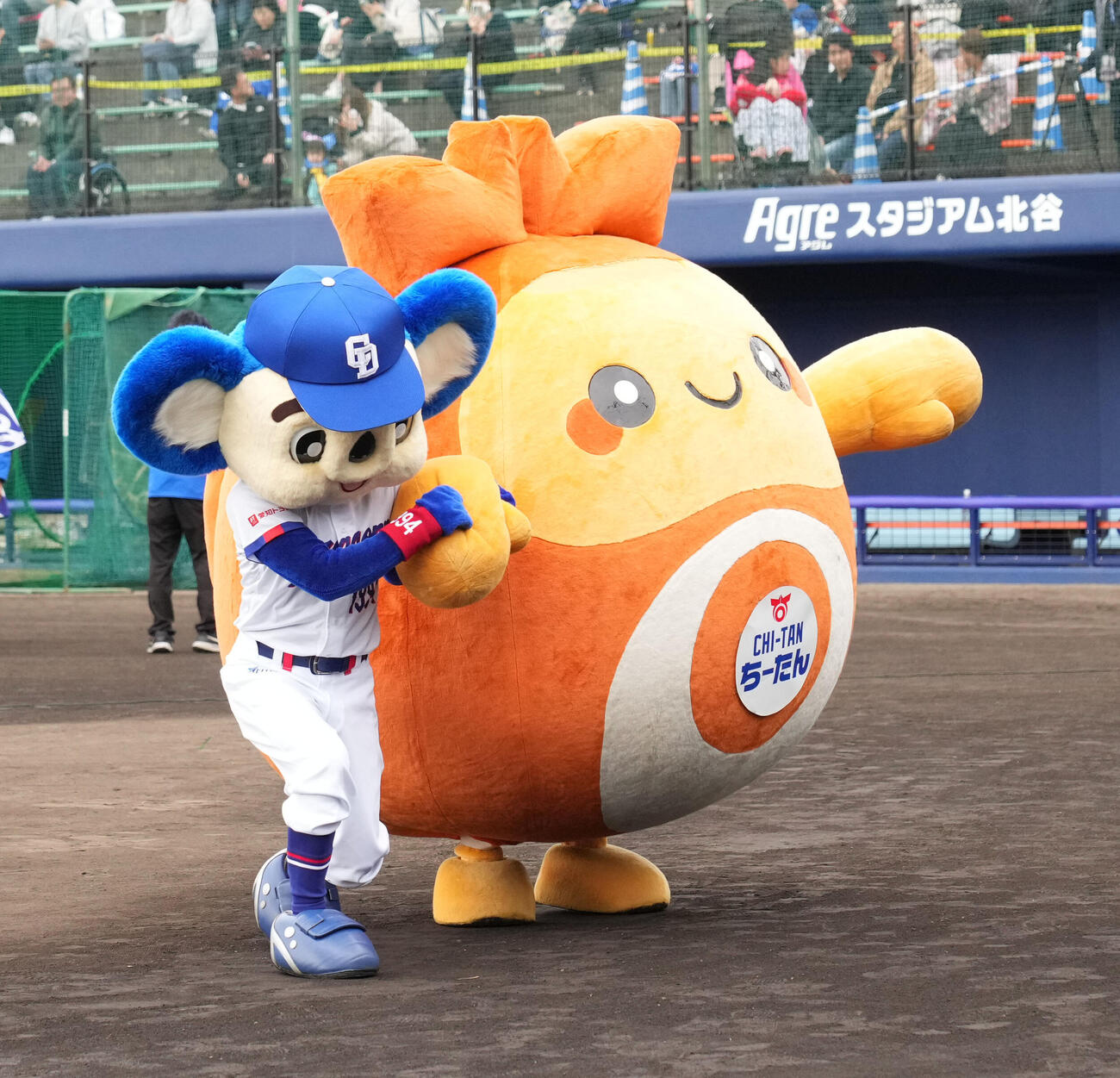 ドアラ（左）は北谷町のマスコットちーたんへ背負い投げを仕掛ける（撮影・森本幸一）