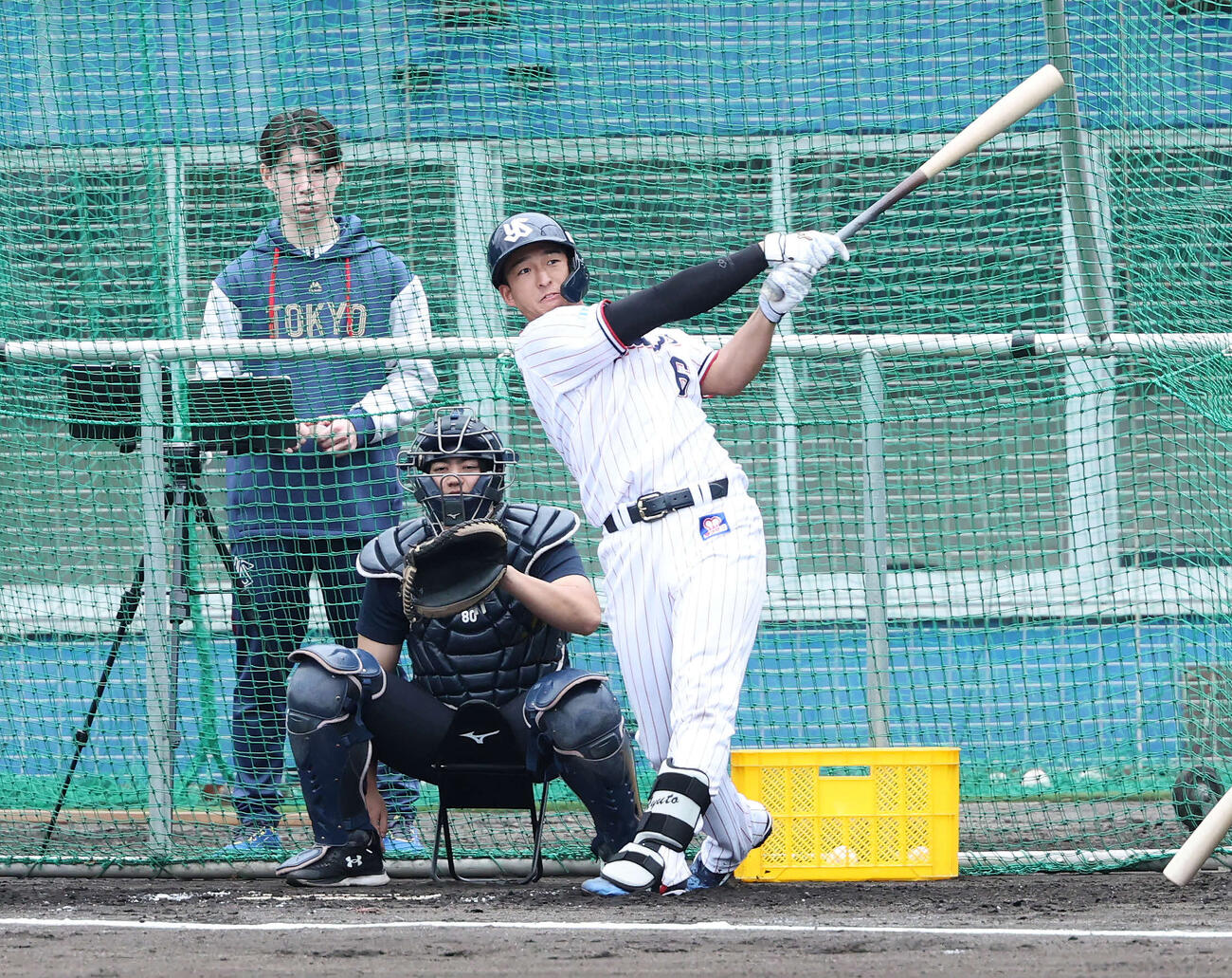 フリー打撃するヤクルト松下（撮影・鈴木正人）　