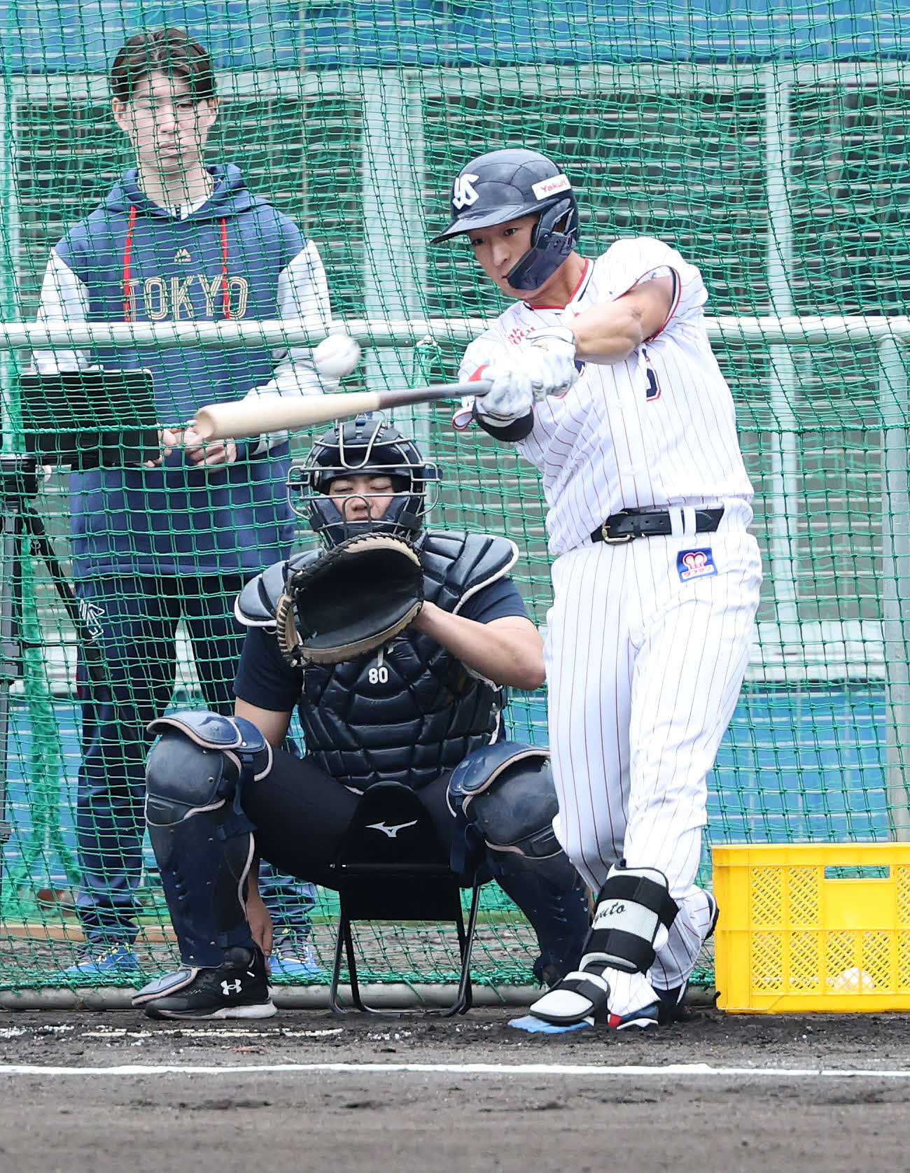 フリー打撃するヤクルト松下（撮影・鈴木正人）　