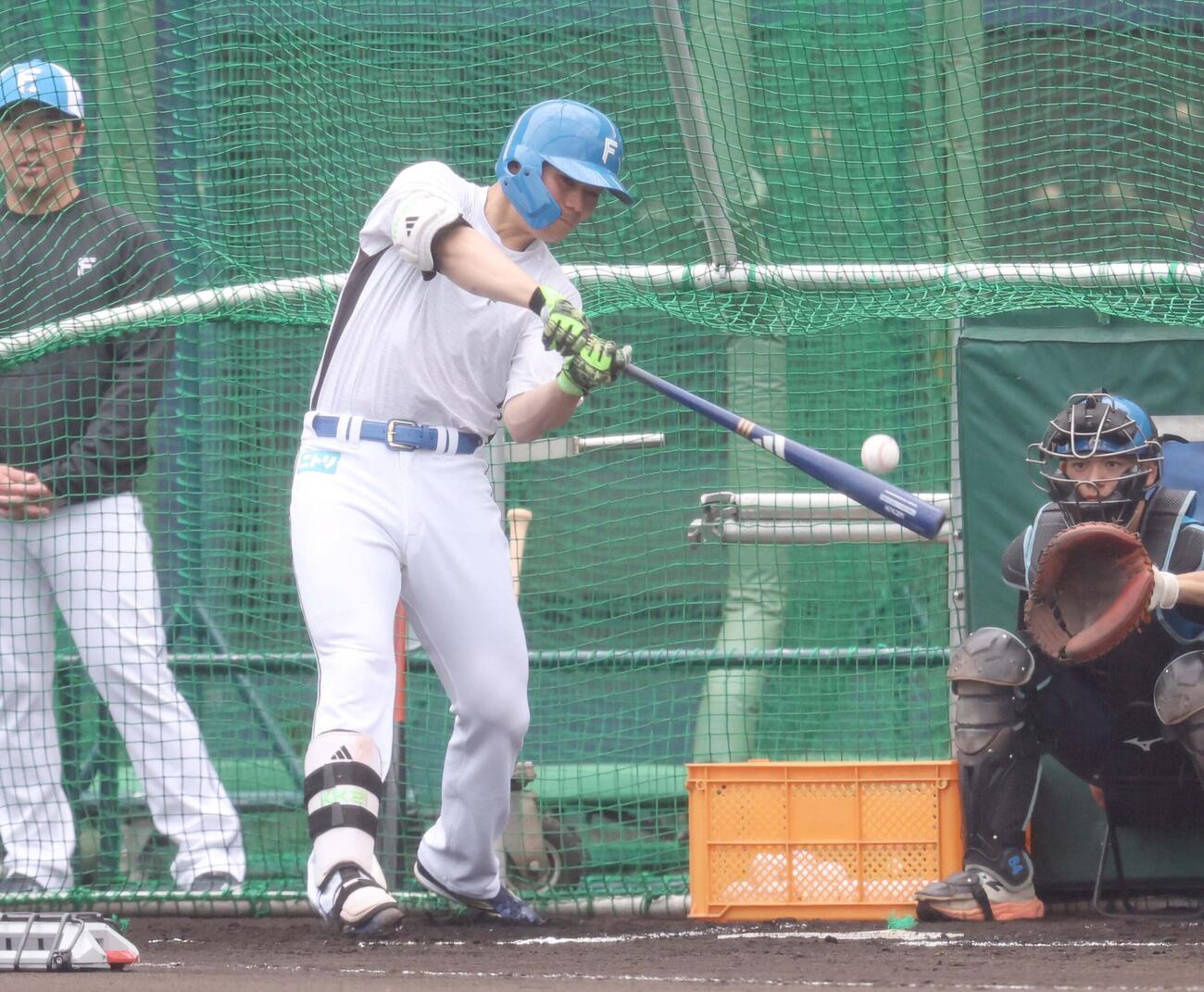 フリー打撃する日本ハム清宮幸（撮影・黒川智章）