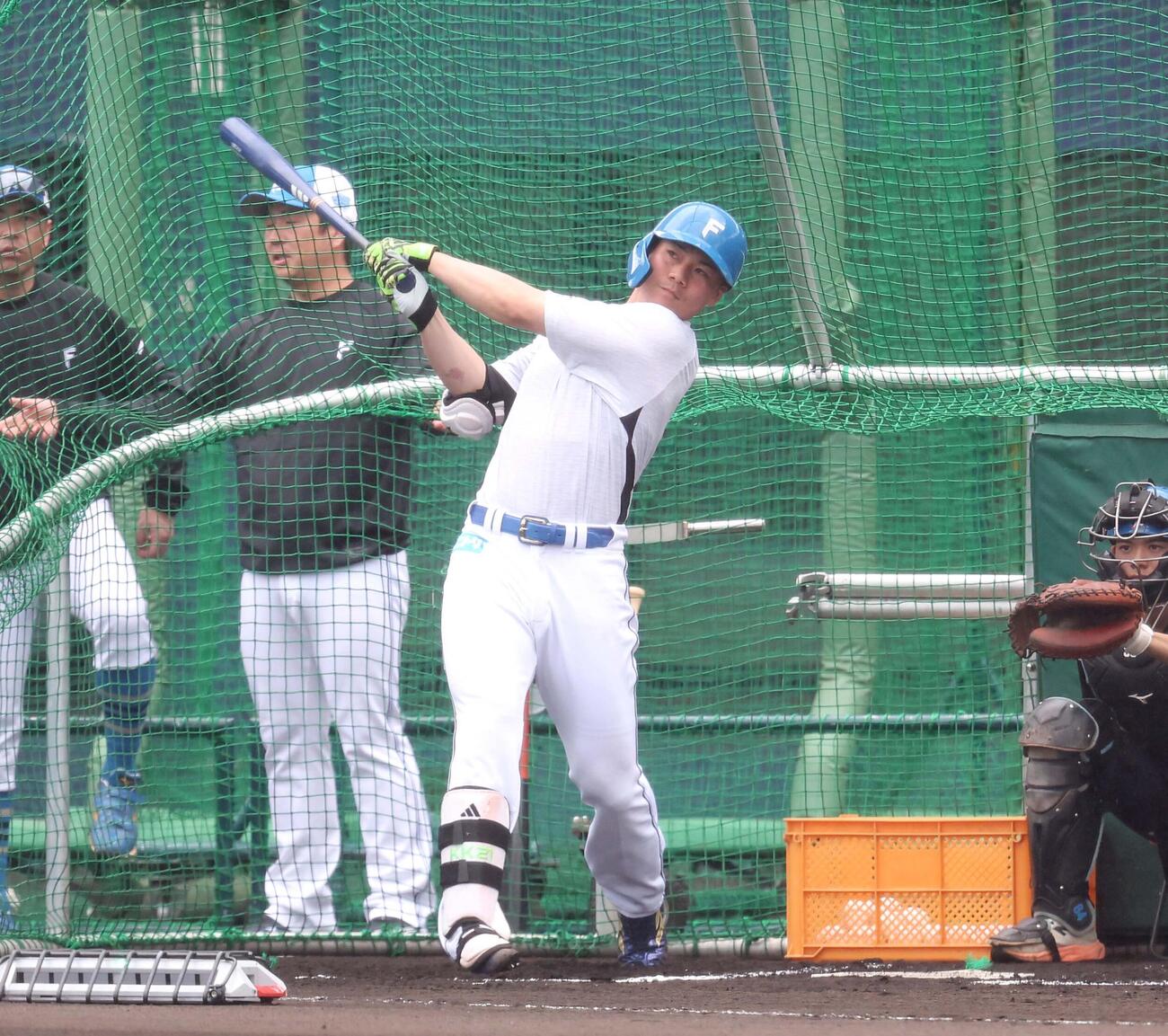 フリー打撃する日本ハム清宮幸（撮影・黒川智章）