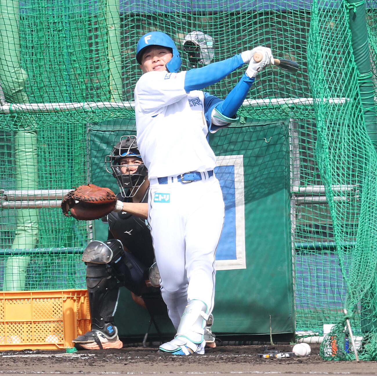 フリー打撃する日本ハム郡司（撮影・黒川智章）