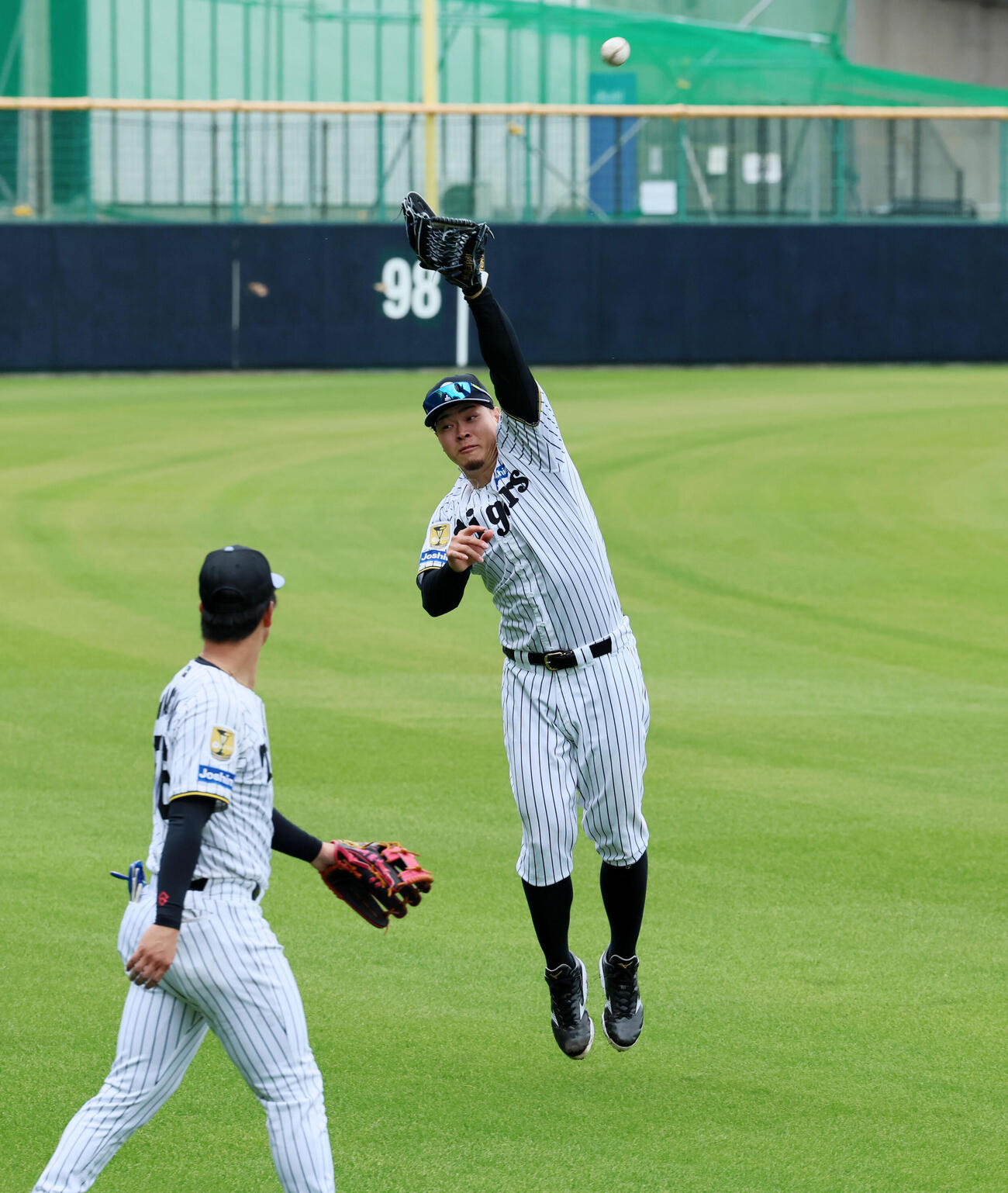 外野でノックを受ける阪神佐藤輝（撮影・加藤哉）