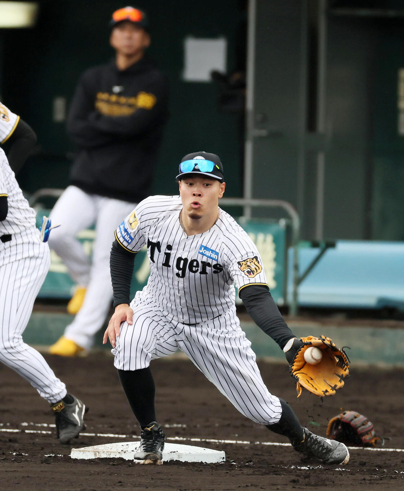 シートノックで三塁に入った阪神佐藤輝（撮影・加藤哉）