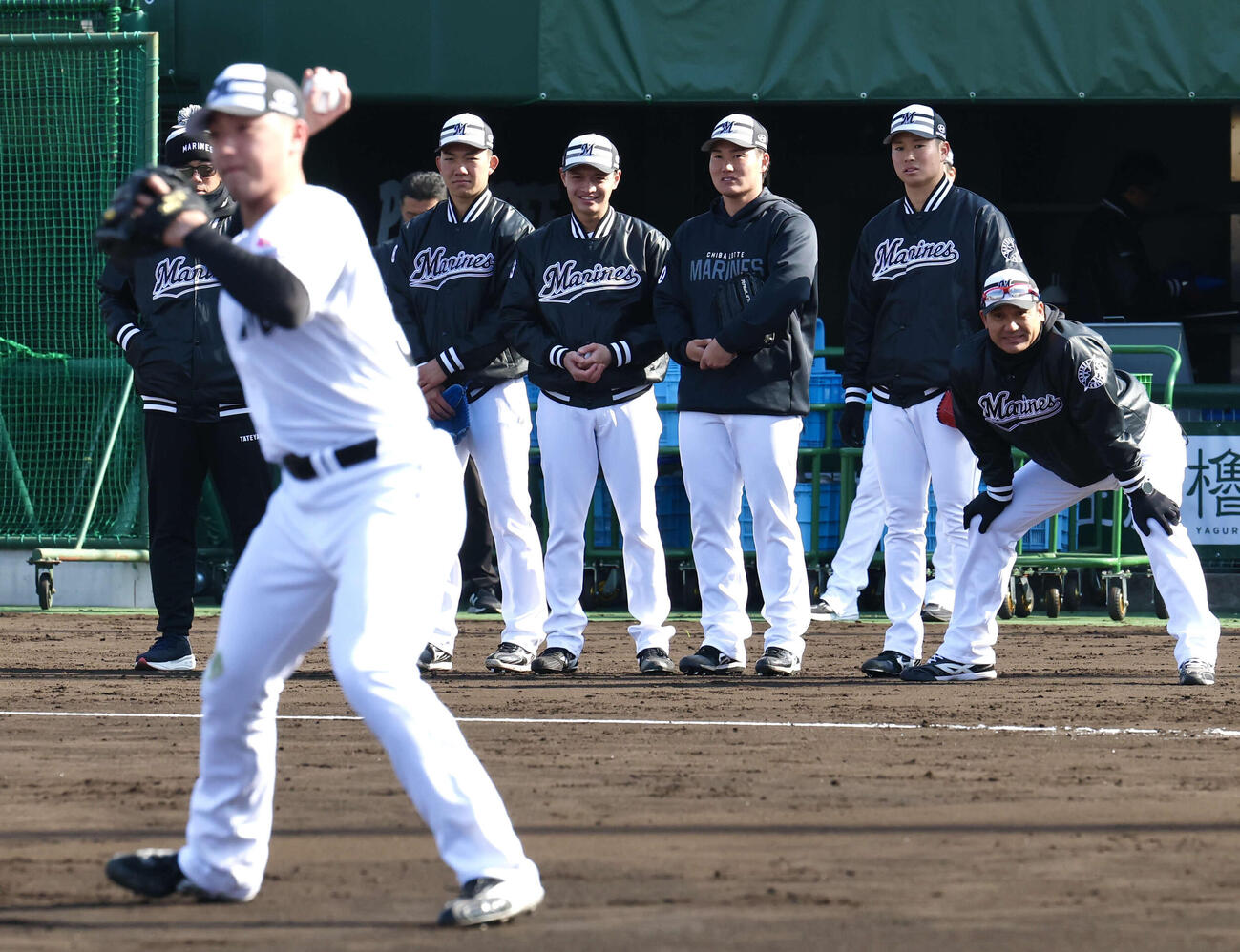 投内連携を見学する、左からロッテ石垣元、毛利、大聖、冨士（撮影・宮地輝）