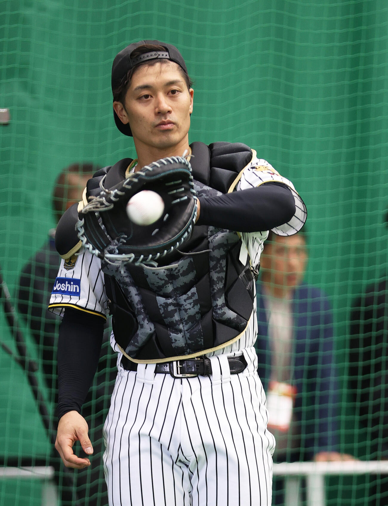 ブルペンで投手の球を受ける阪神坂本（撮影・上山淳一）