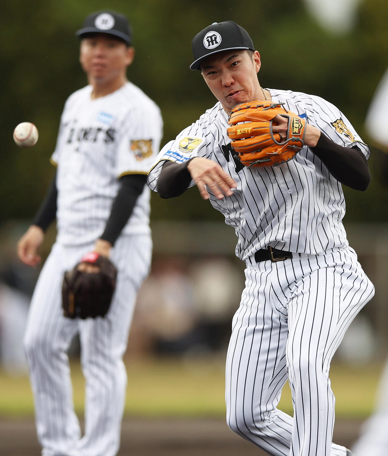 投内連係で汗を流す阪神石井（撮影・上山淳一）