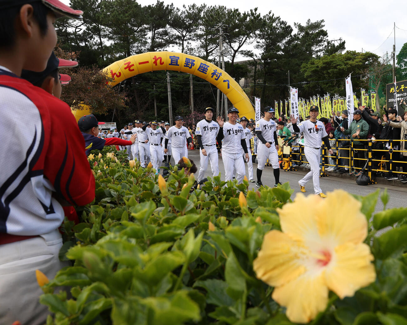 キャンプインを前にパレードする阪神藤川監督と選手たち（撮影・上山淳一）