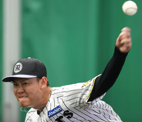 ブルペンで投球する阪神及川（撮影・上山淳一）