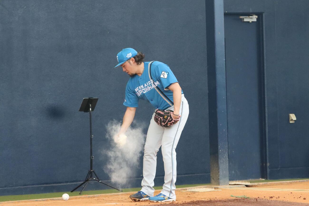 手にロジンをかける日本ハム伊藤（撮影・永野高輔）