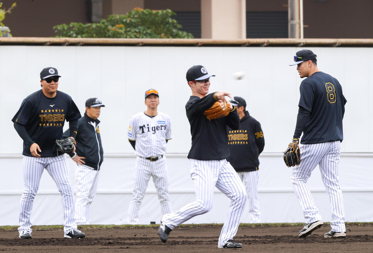 阪神藤川監督（奥）が見守る中、早出ノックを受ける、手前左から大山、中野、佐藤（撮影・上山淳一）