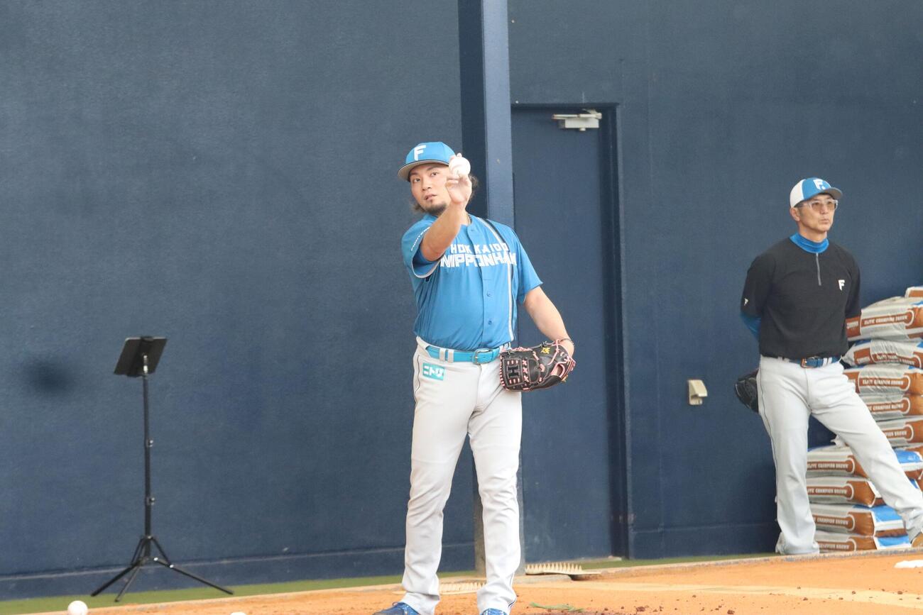 ボールの握りを確認する日本ハム伊藤（撮影・永野高輔）