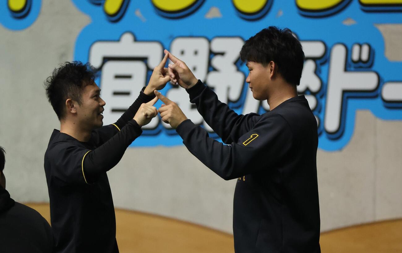 トレーニングを行う阪神森下（撮影・西尾就之）