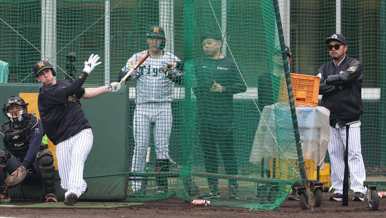 阪神ディベイニーは小谷野コーチ（右）と大山の前でランチタイムに特打を行う（撮影・西尾就之）