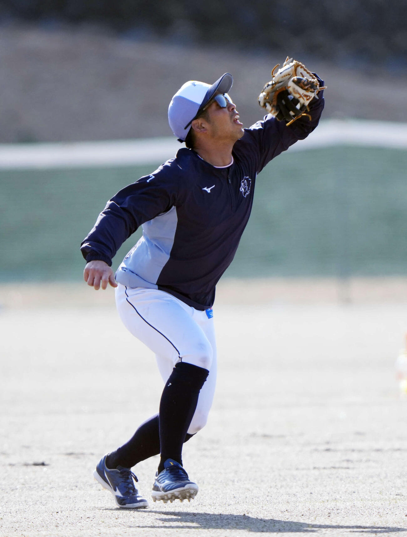 個別練習で外野ノックを受ける西武桑原（撮影・小島史椰）