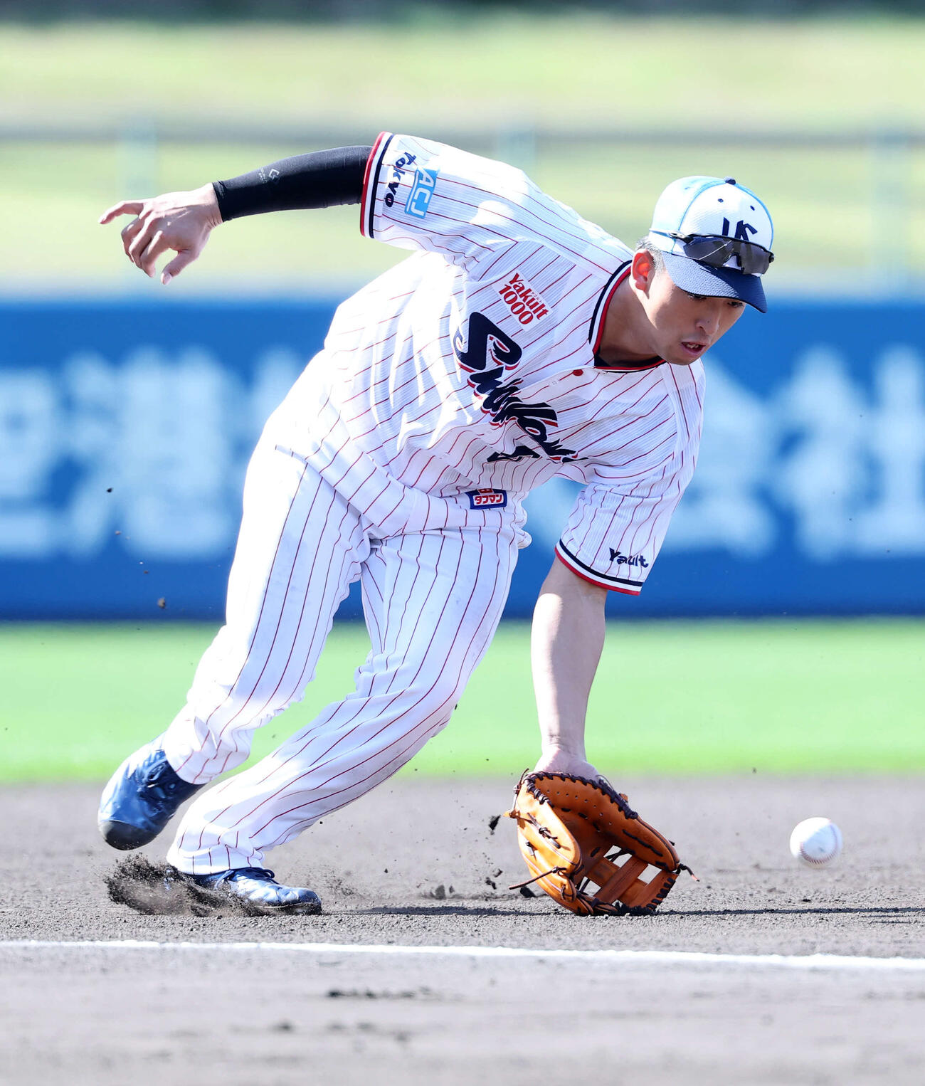 ノックを受けるヤクルト松下（撮影・鈴木正人）　