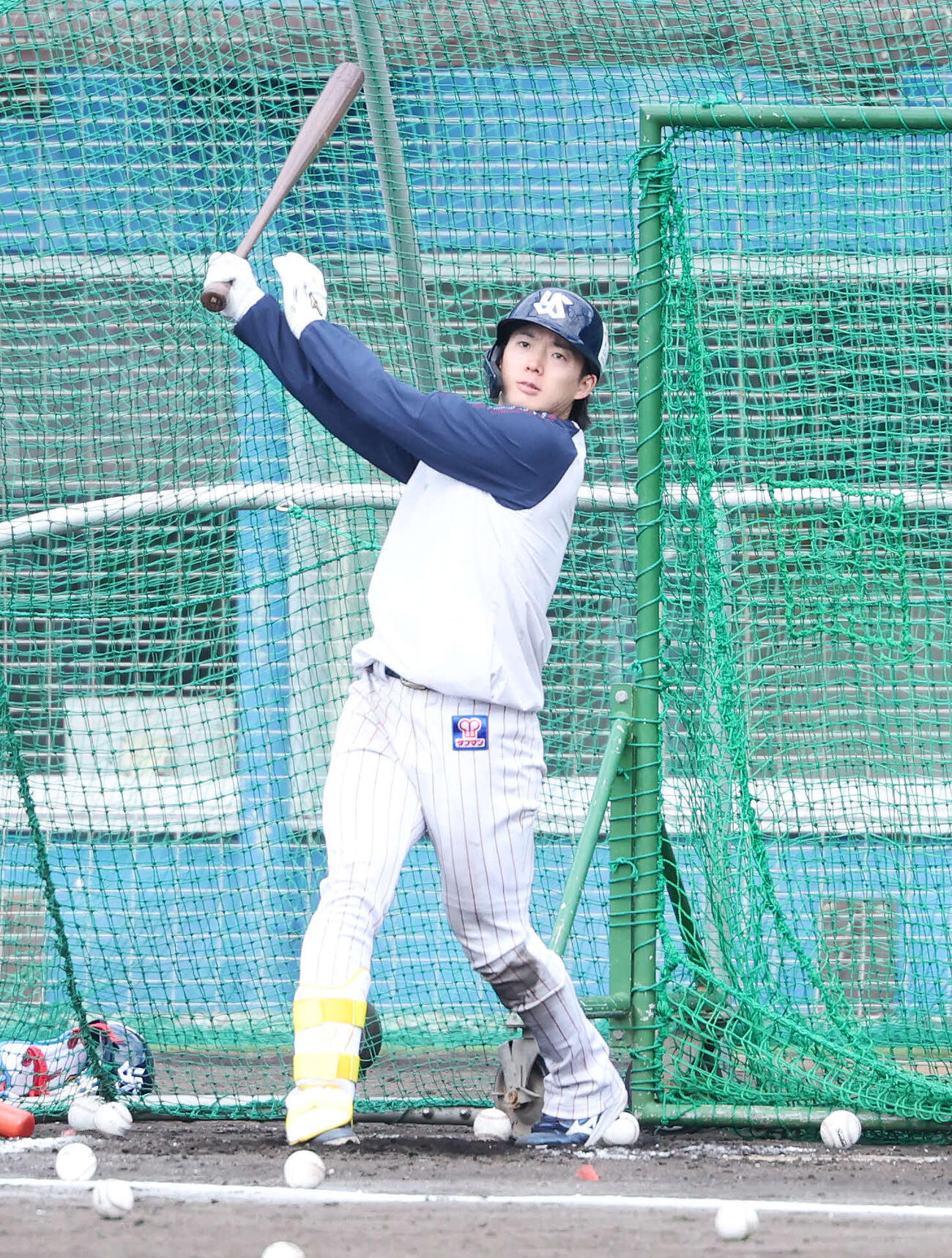 フリー打撃するヤクルト長岡（撮影・鈴木正人）　