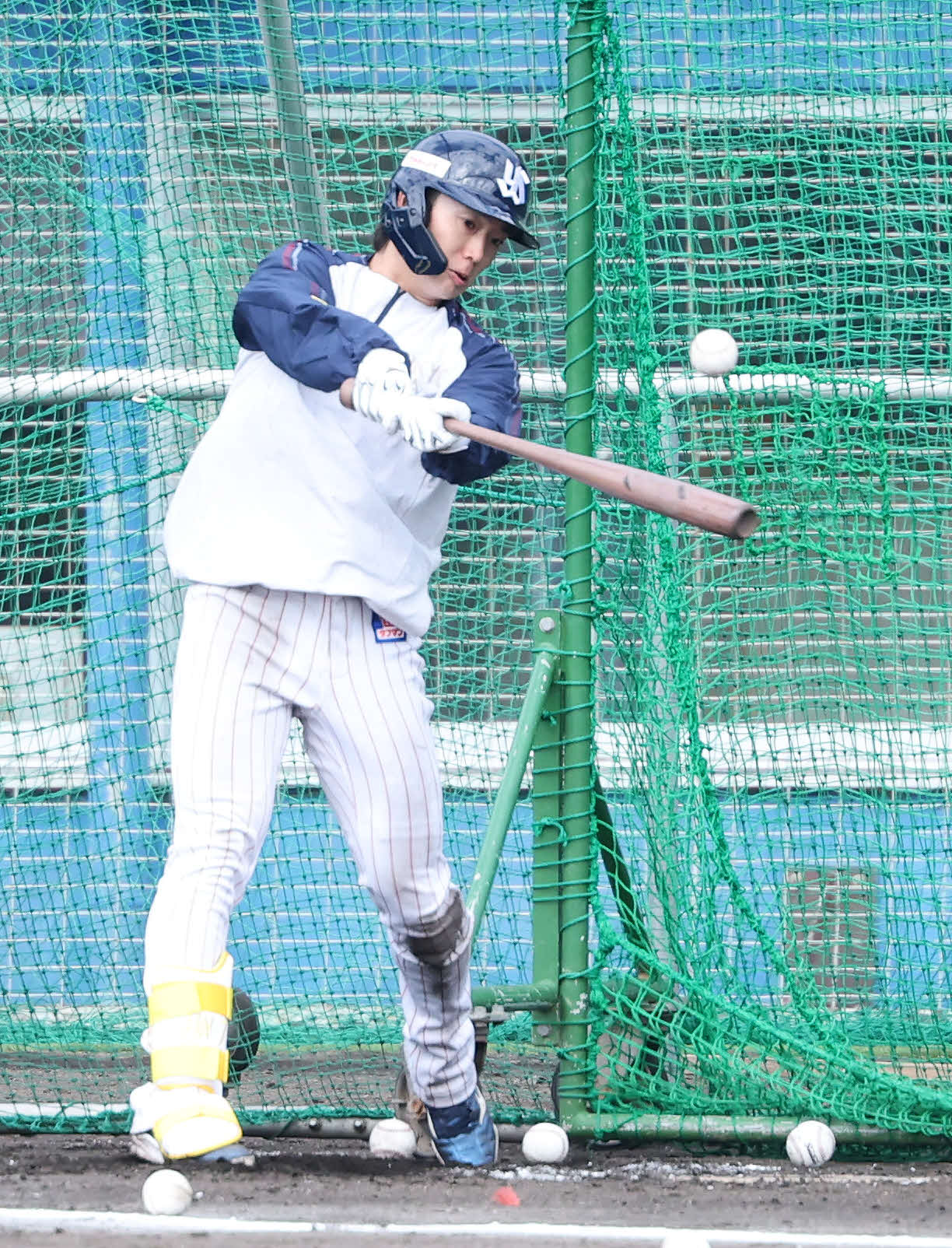 フリー打撃するヤクルト長岡（撮影・鈴木正人）　