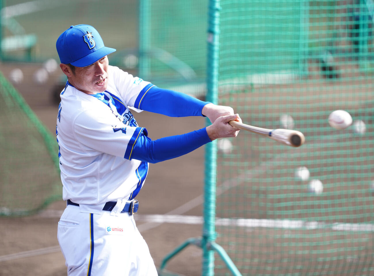 ノックを打つDeNA相川監督（撮影・鈴木みどり）
