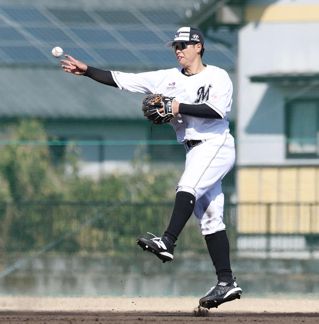 特守を受けるロッテ中村奨（撮影・宮地輝）
