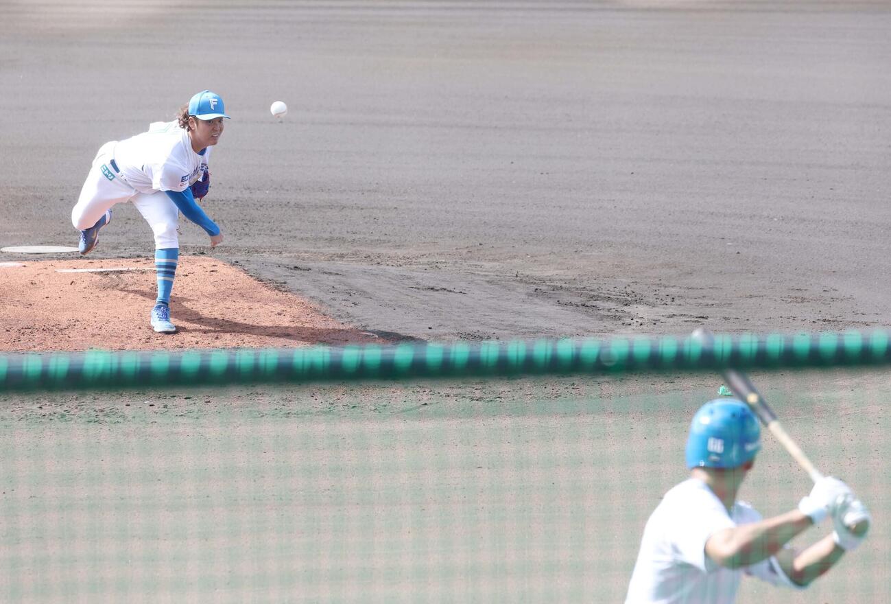 ライブ打撃で万波と対戦する古林睿煬（撮影・黒川智章）