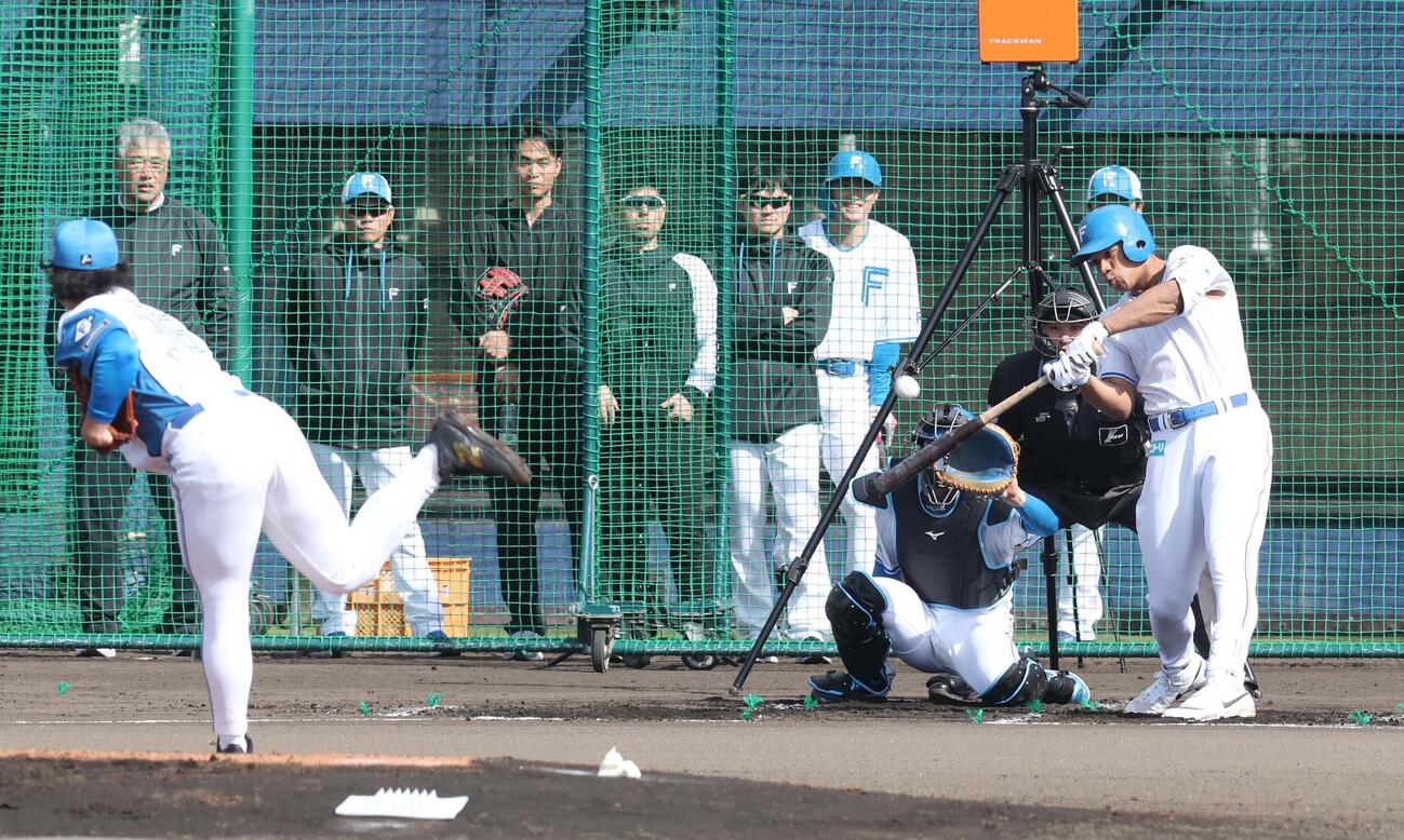 孫易磊とライブ打撃で対戦する万波（撮影・黒川智章）