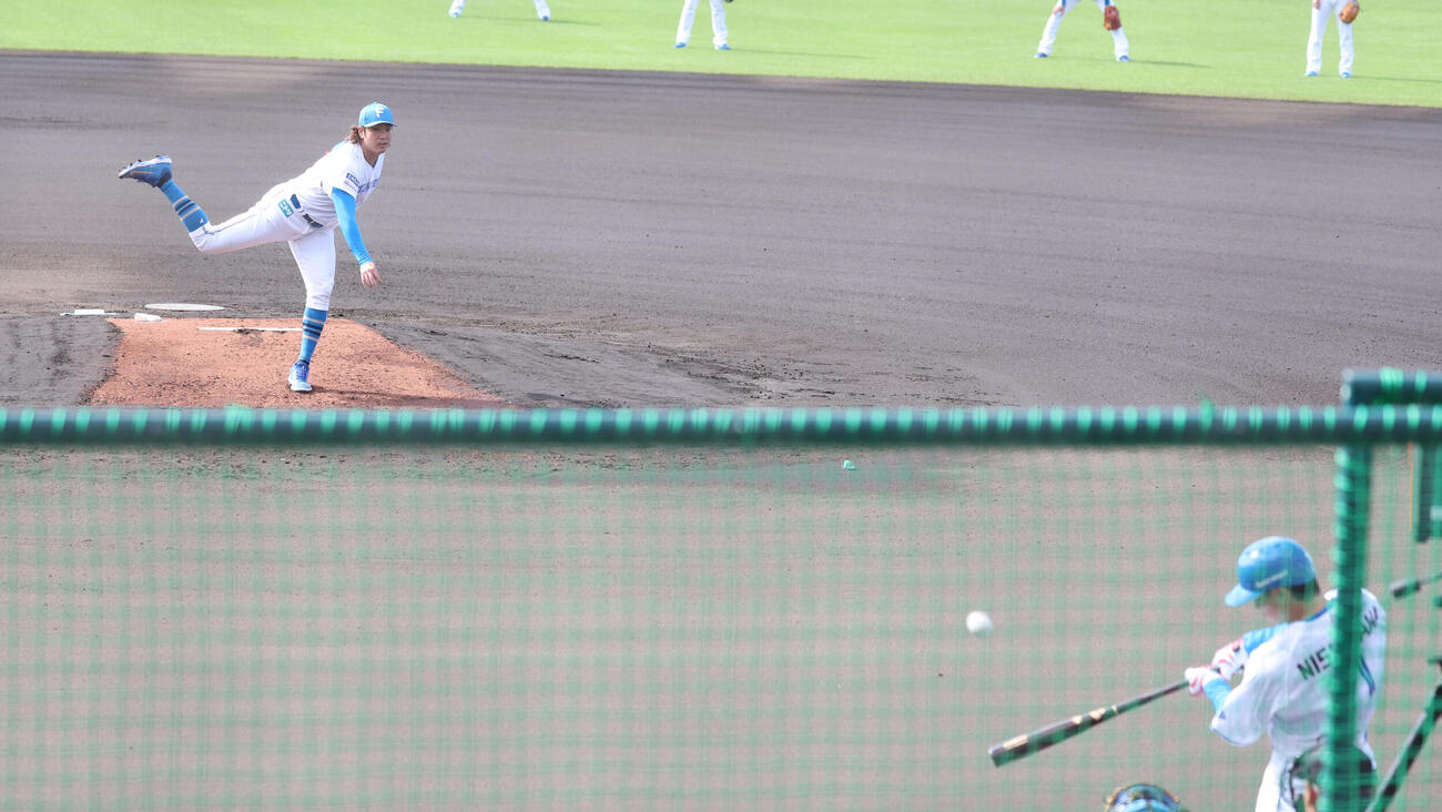 ライブ打撃で西川と対戦する古林睿煬（撮影・黒川智章）