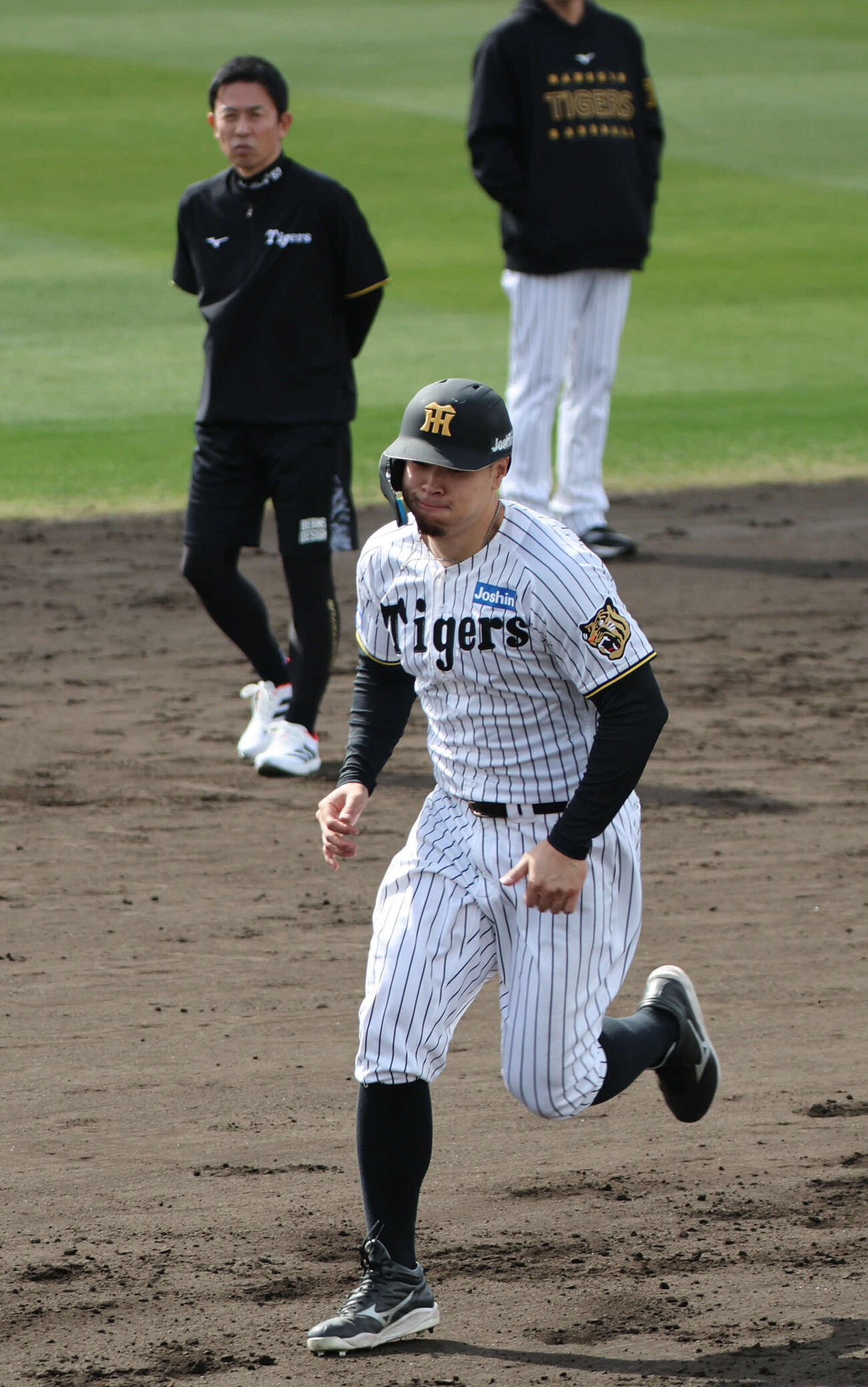 赤星憲広臨時コーチが見守る前で走塁練習を行う阪神佐藤（撮影・西尾就之）