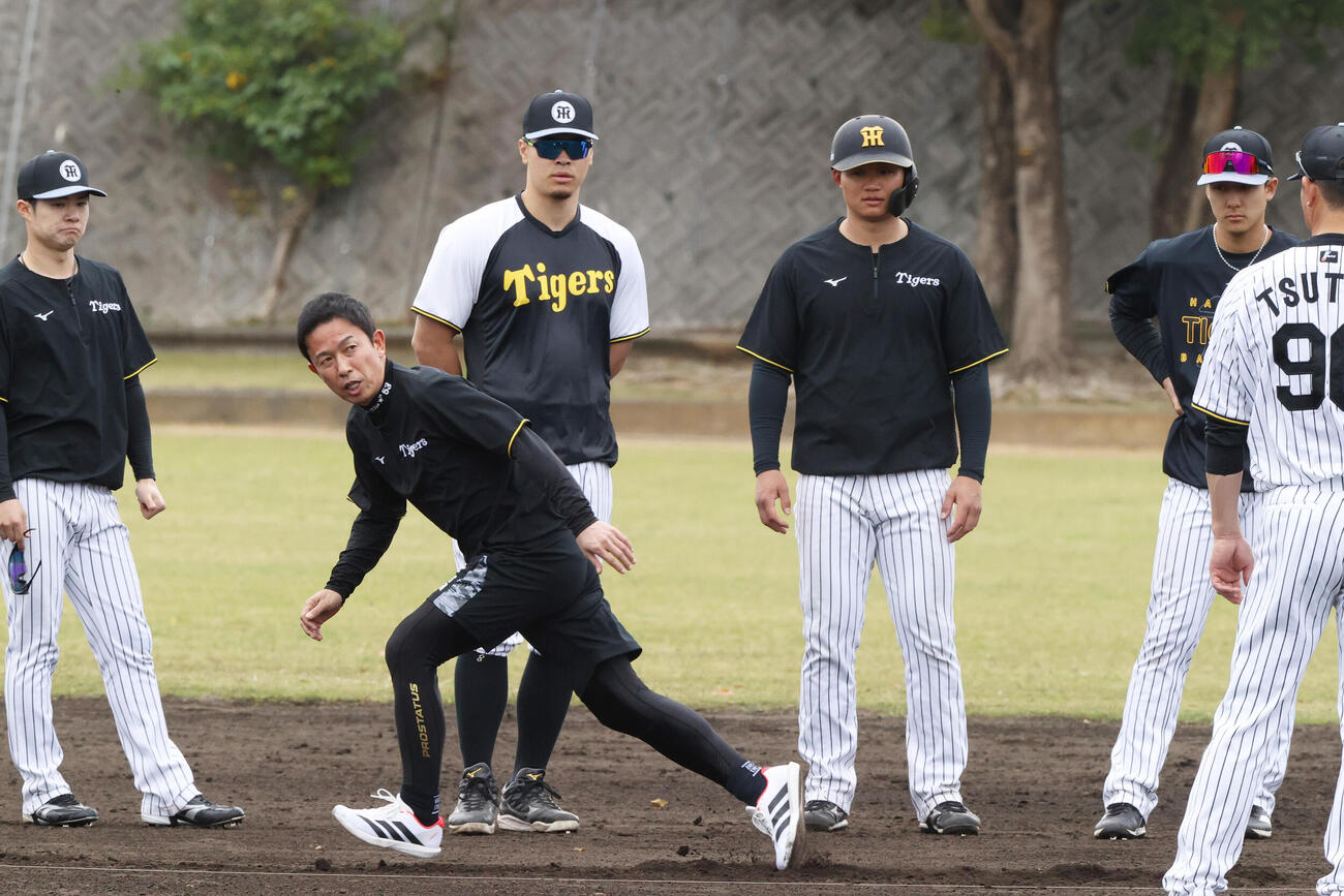 赤星臨時コーチ（手前）の指導を受ける阪神野手陣。左から中野、佐藤、森下、小幡（撮影・上山淳一）