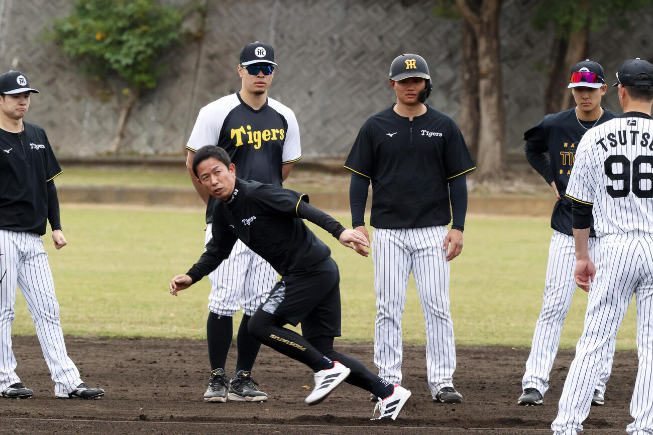 赤星臨時コーチ（手前）の指導を受ける阪神野手陣。左から中野、佐藤、森下、小幡（撮影・上山淳一）
