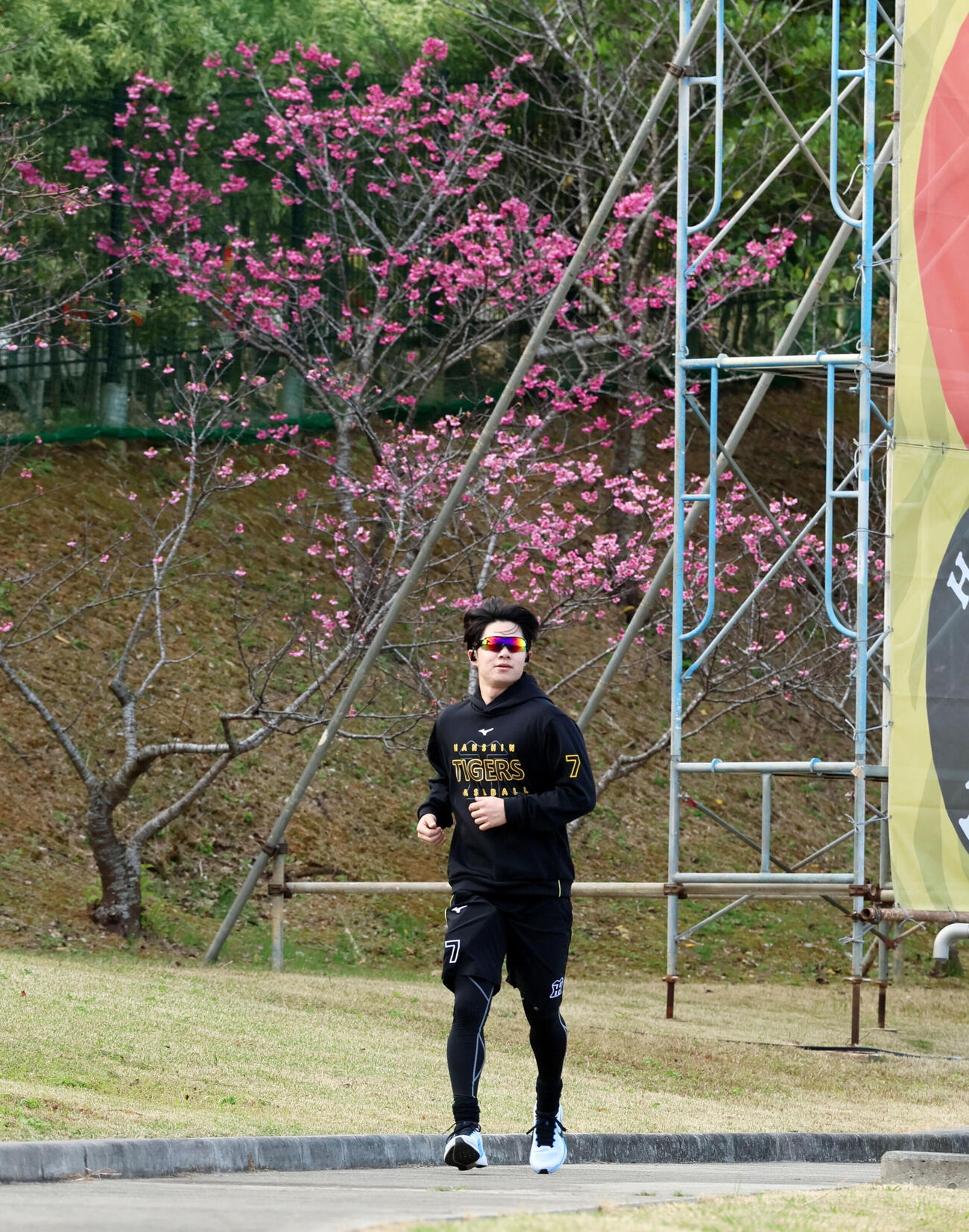 外野スタンドをランニングする阪神中野（撮影・加藤哉）