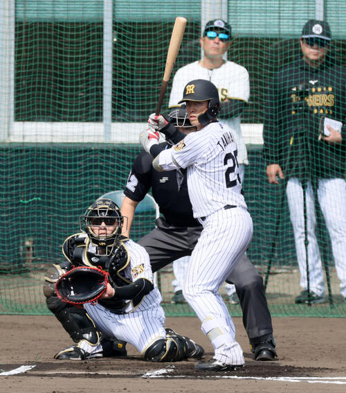 阪神谷端の打撃フォーム、構え（撮影・加藤哉）