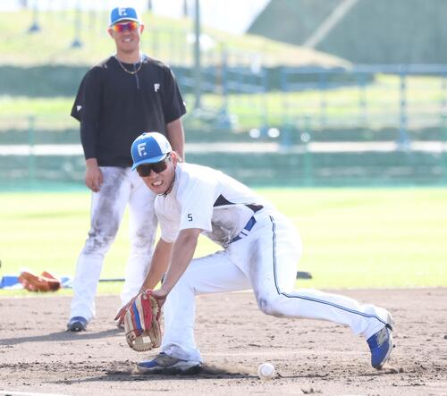 3日には居残り特守でノックを受ける日本ハム野村。後方は吉田