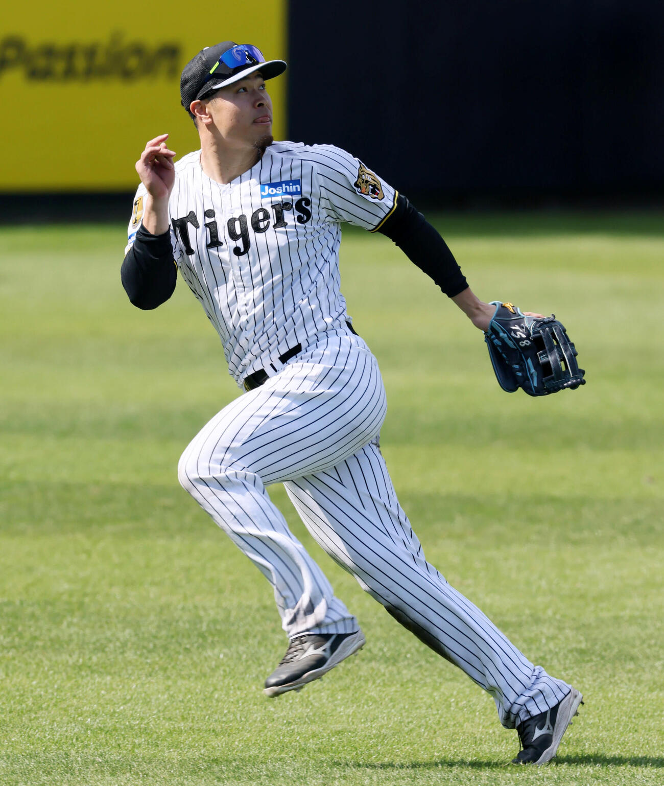 打撃練習中、中堅で打球を捕球する阪神佐藤（撮影・加藤哉）